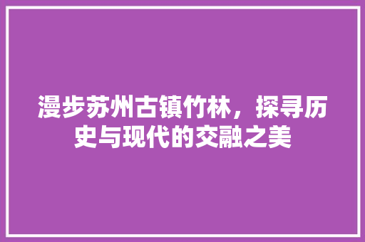 漫步苏州古镇竹林，探寻历史与现代的交融之美