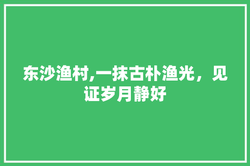 东沙渔村,一抹古朴渔光，见证岁月静好