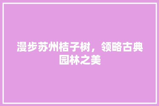 漫步苏州桔子树，领略古典园林之美