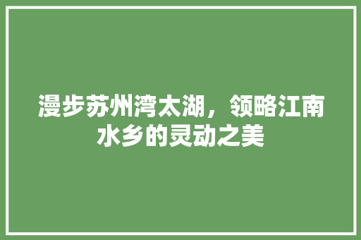 漫步苏州湾太湖，领略江南水乡的灵动之美  第1张