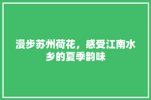 漫步苏州荷花，感受江南水乡的夏季韵味