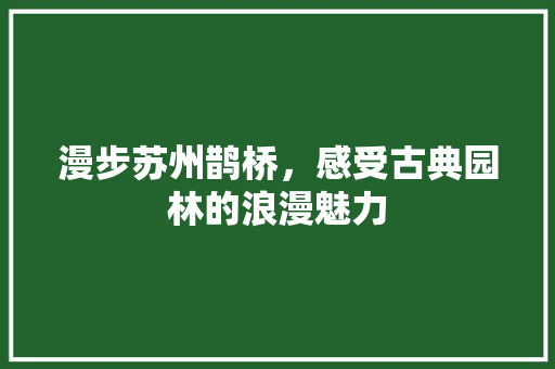 漫步苏州鹊桥，感受古典园林的浪漫魅力