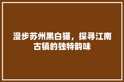 漫步苏州黑白猫，探寻江南古镇的独特韵味