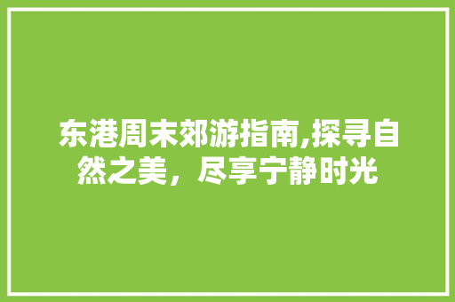 东港周末郊游指南,探寻自然之美，尽享宁静时光