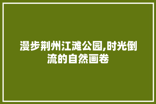 漫步荆州江滩公园,时光倒流的自然画卷