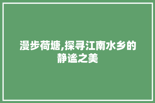 漫步荷塘,探寻江南水乡的静谧之美