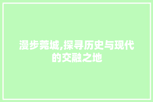 漫步莞城,探寻历史与现代的交融之地