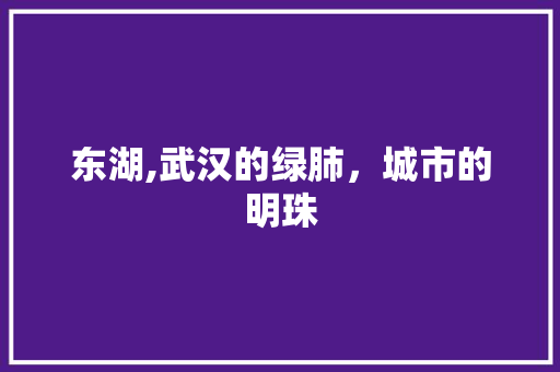 东湖,武汉的绿肺，城市的明珠  第1张