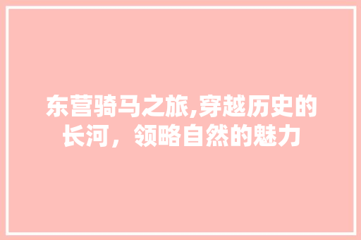 东营骑马之旅,穿越历史的长河，领略自然的魅力