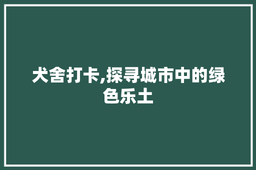 犬舍打卡,探寻城市中的绿色乐土