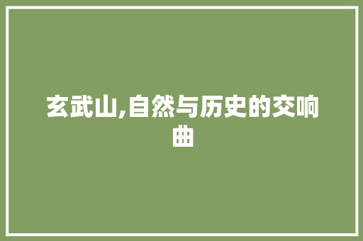 玄武山,自然与历史的交响曲