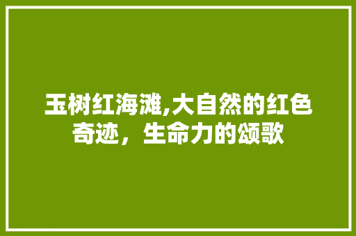 玉树红海滩,大自然的红色奇迹，生命力的颂歌