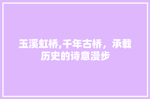 玉溪虹桥,千年古桥，承载历史的诗意漫步