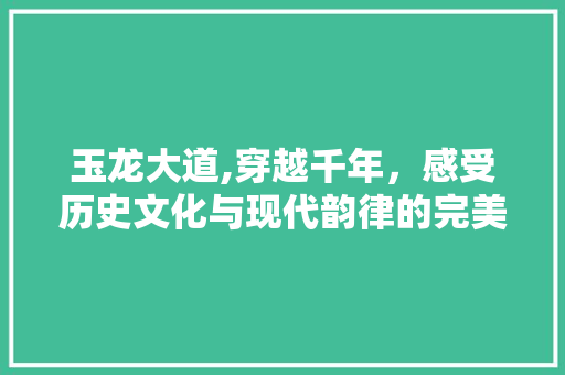 玉龙大道,穿越千年，感受历史文化与现代韵律的完美融合