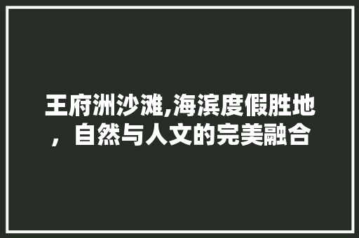 王府洲沙滩,海滨度假胜地，自然与人文的完美融合