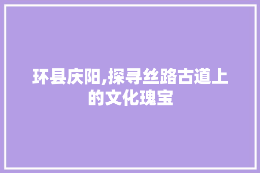 环县庆阳,探寻丝路古道上的文化瑰宝