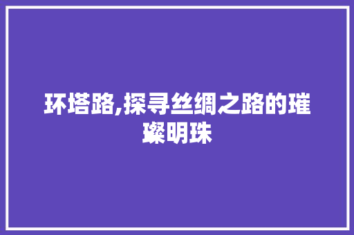 环塔路,探寻丝绸之路的璀璨明珠