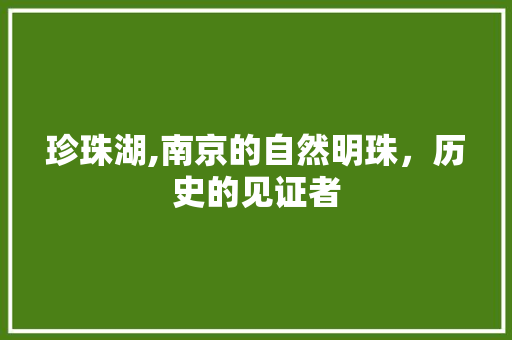 珍珠湖,南京的自然明珠，历史的见证者