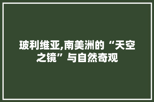 玻利维亚,南美洲的“天空之镜”与自然奇观