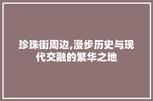 珍珠街周边,漫步历史与现代交融的繁华之地