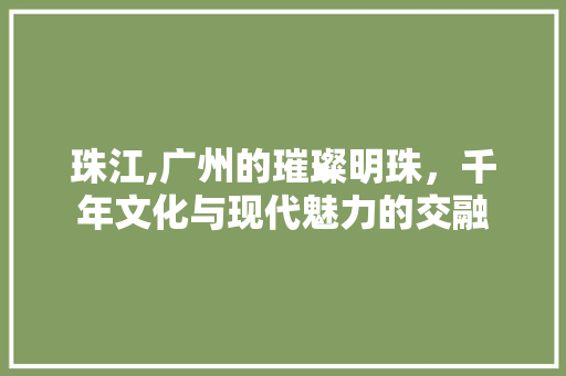 珠江,广州的璀璨明珠，千年文化与现代魅力的交融