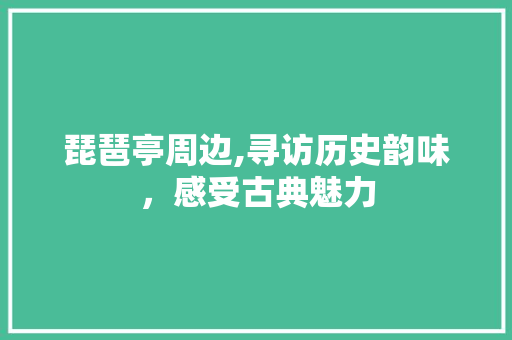 琵琶亭周边,寻访历史韵味，感受古典魅力