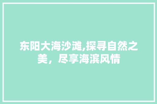 东阳大海沙滩,探寻自然之美，尽享海滨风情