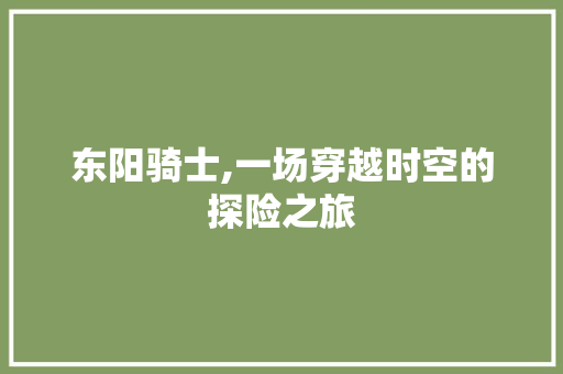 东阳骑士,一场穿越时空的探险之旅