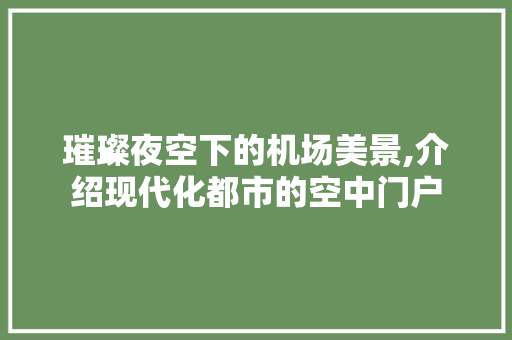 璀璨夜空下的机场美景,介绍现代化都市的空中门户