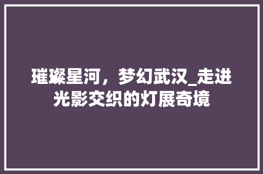 璀璨星河，梦幻武汉_走进光影交织的灯展奇境