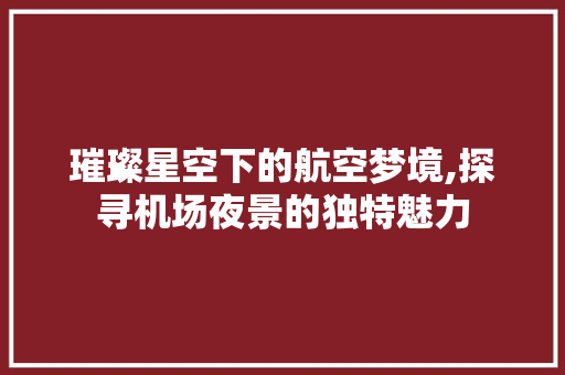 璀璨星空下的航空梦境,探寻机场夜景的独特魅力