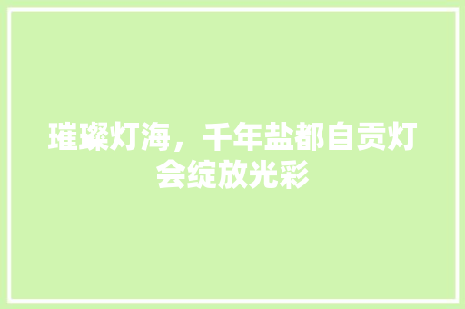 璀璨灯海，千年盐都自贡灯会绽放光彩