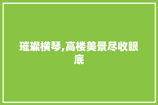 璀璨横琴,高楼美景尽收眼底