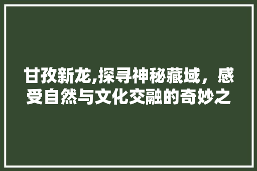 甘孜新龙,探寻神秘藏域，感受自然与文化交融的奇妙之旅