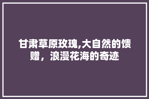 甘肃草原玫瑰,大自然的馈赠，浪漫花海的奇迹