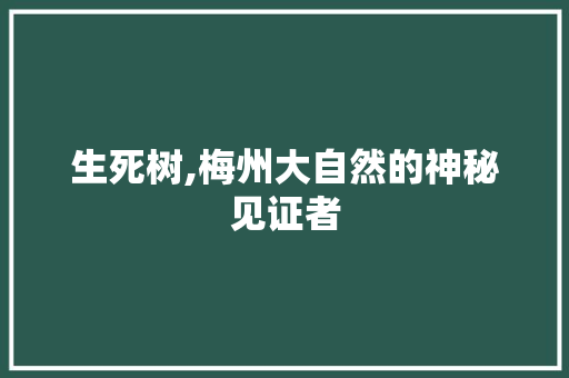 生死树,梅州大自然的神秘见证者