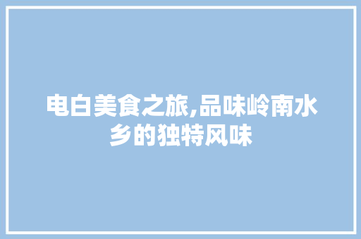 电白美食之旅,品味岭南水乡的独特风味