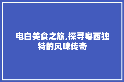 电白美食之旅,探寻粤西独特的风味传奇