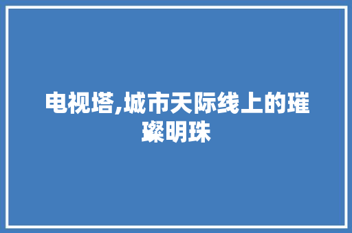 电视塔,城市天际线上的璀璨明珠  第1张