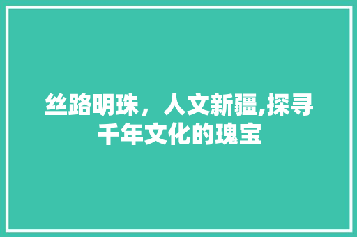 丝路明珠，人文新疆,探寻千年文化的瑰宝