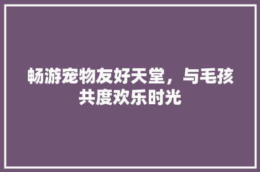 畅游宠物友好天堂，与毛孩共度欢乐时光