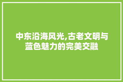 中东沿海风光,古老文明与蓝色魅力的完美交融