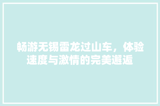 畅游无锡雷龙过山车，体验速度与激情的完美邂逅  第1张