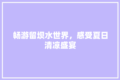 畅游留坝水世界，感受夏日清凉盛宴