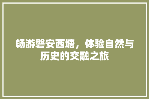 畅游磐安西塘，体验自然与历史的交融之旅