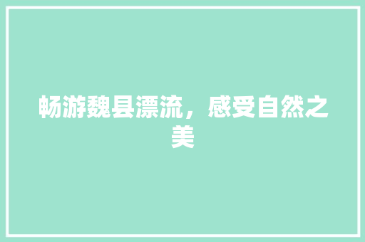 畅游魏县漂流，感受自然之美