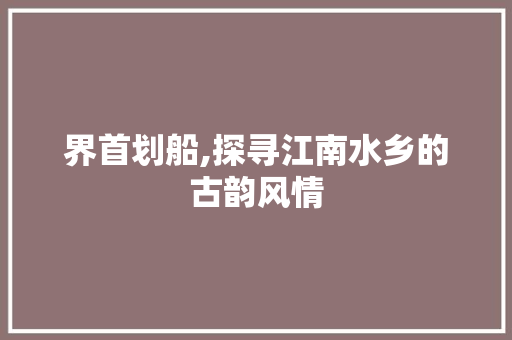 界首划船,探寻江南水乡的古韵风情