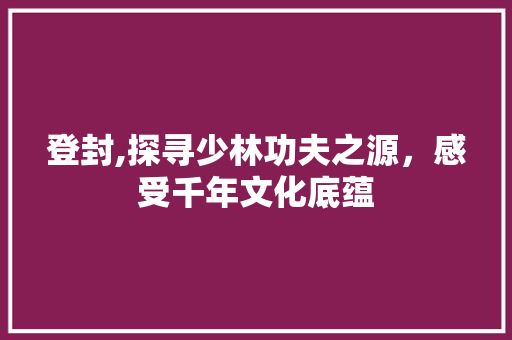 登封,探寻少林功夫之源，感受千年文化底蕴