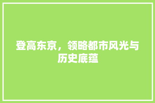 登高东京，领略都市风光与历史底蕴