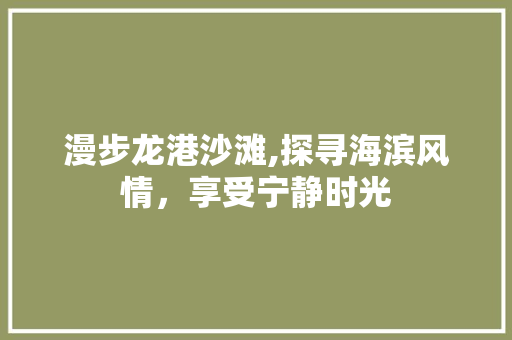 漫步龙港沙滩,探寻海滨风情，享受宁静时光